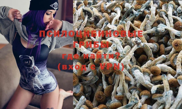 спайс Алексеевка
