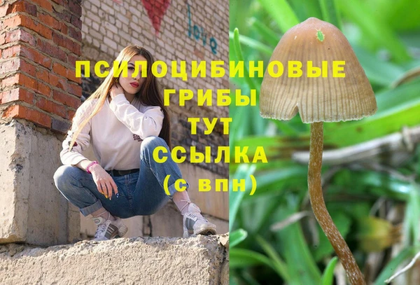 мяу мяу мука Алзамай