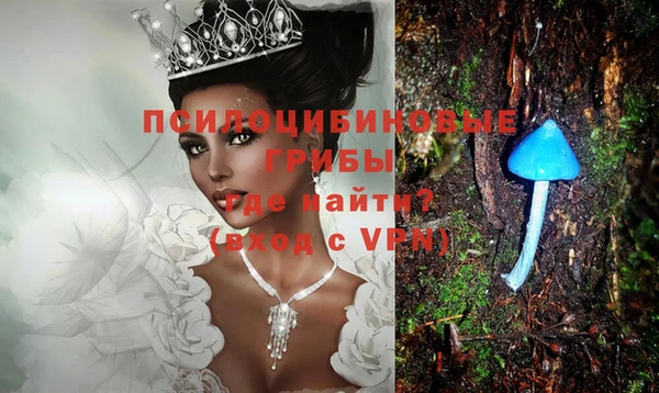 спайс Алексеевка